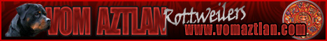 ADRK German Bred Rottweilers