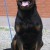 Balou Vom Herrenhaus 01