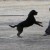 Jenny Vom Aztlan 05