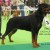 Tina Des Princes D Aragone