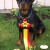 31 Knertebos Nurtes Tomboy
