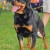 Wendy-vom-wachberg-swrss-01